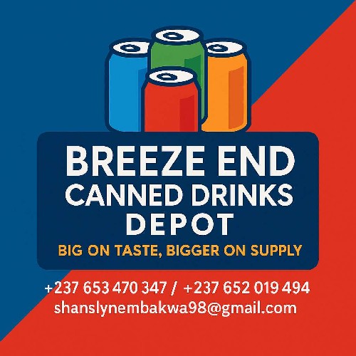BREEZE END CANNED DRINKS DEPOT