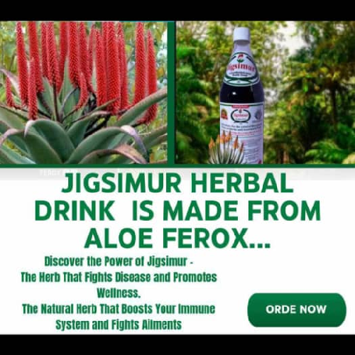Divine Life Herbal Medicine