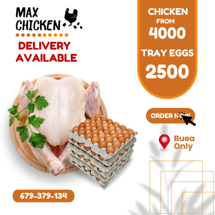 Fresh Chicken