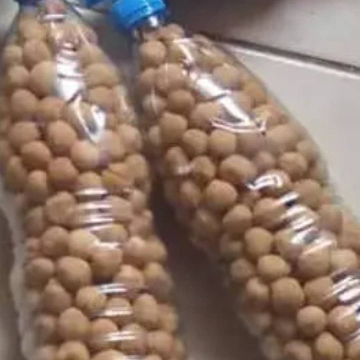 peanut