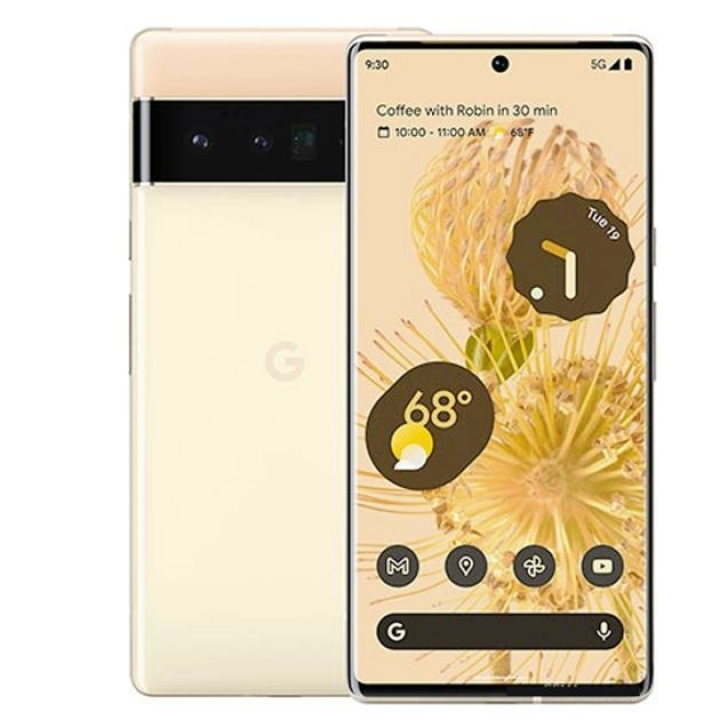 Google pixels 6 pro