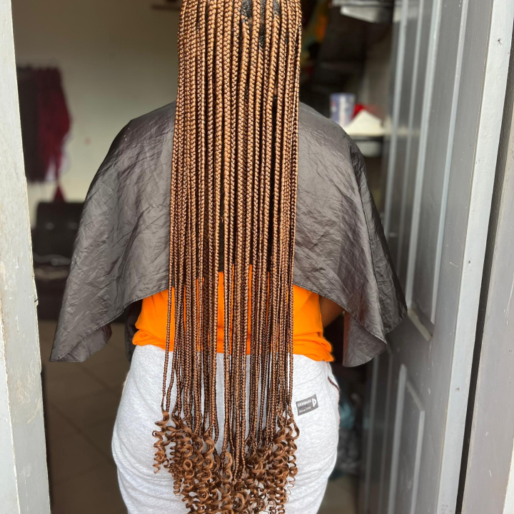 rasta américaine