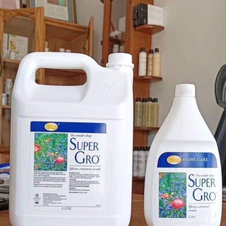 Home Care