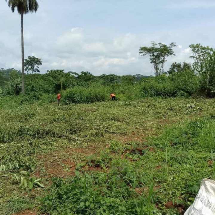 TERRAIN TITRÉ À VENDRE À YAOUNDÉ NKOABANG