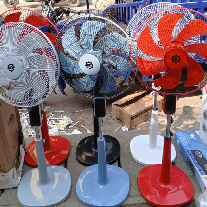 Fan