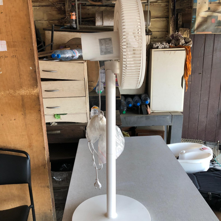 Fan