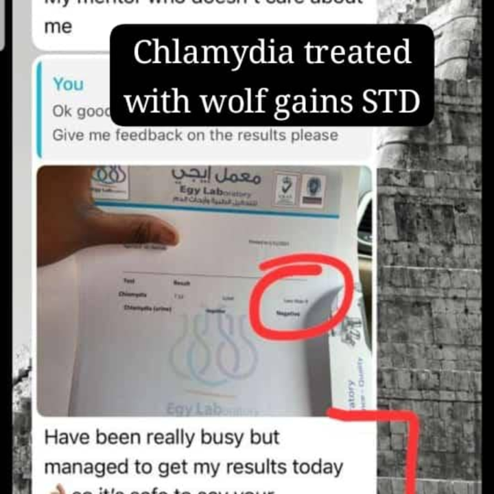 WOLF GAINS STD ANTIBIOTICS