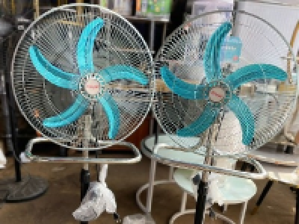 Fan