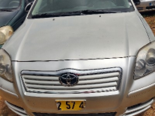 Avensis tête de cochon