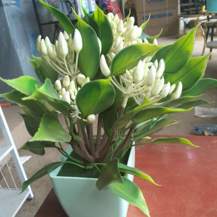Table flowers
