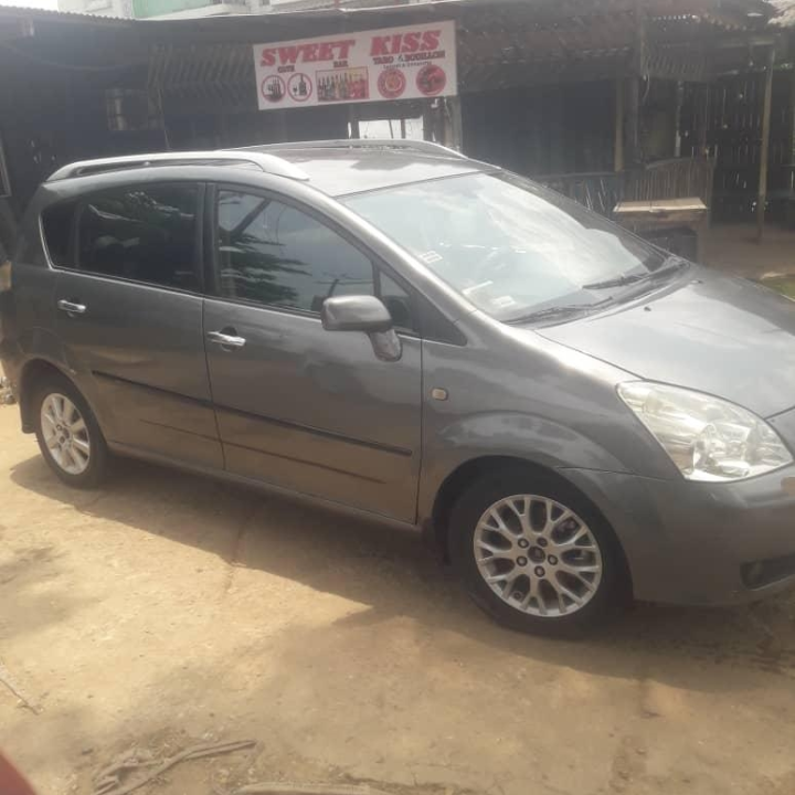 Corolla verso