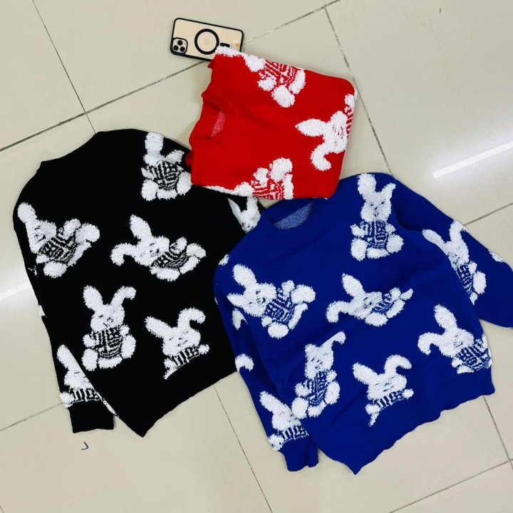 Jean trousers and pullover