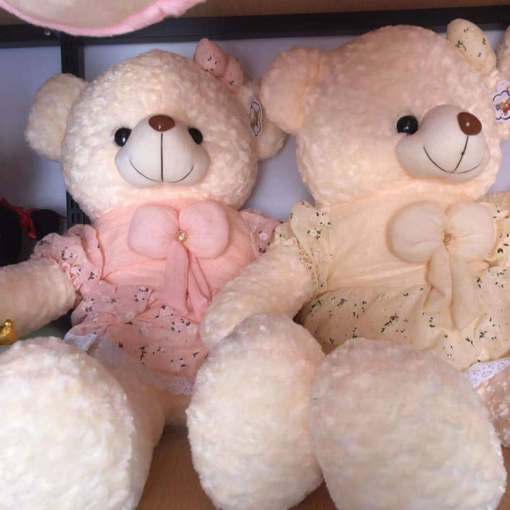customized Teddy bear