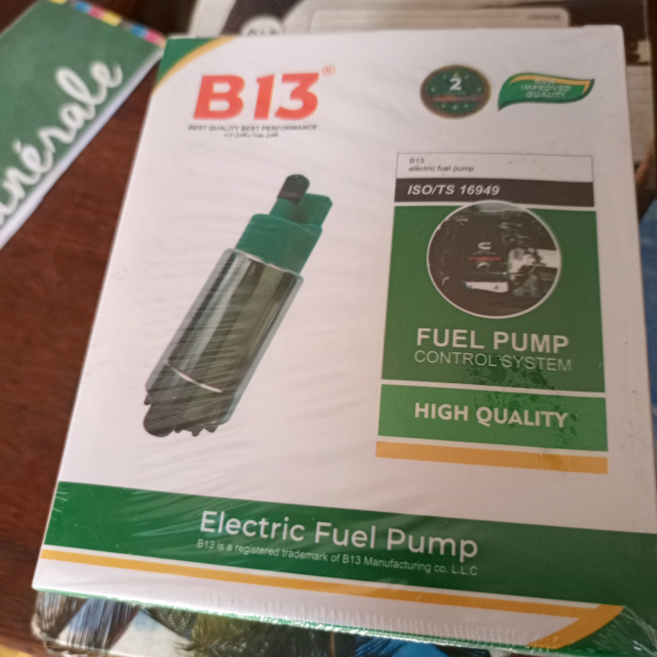 B 13