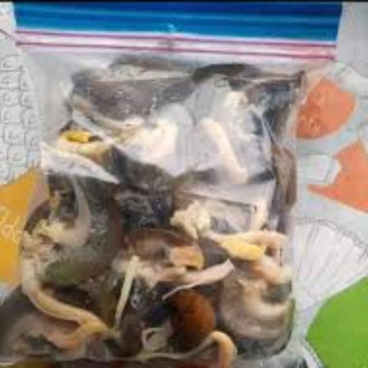 1/2kg fresh Snails