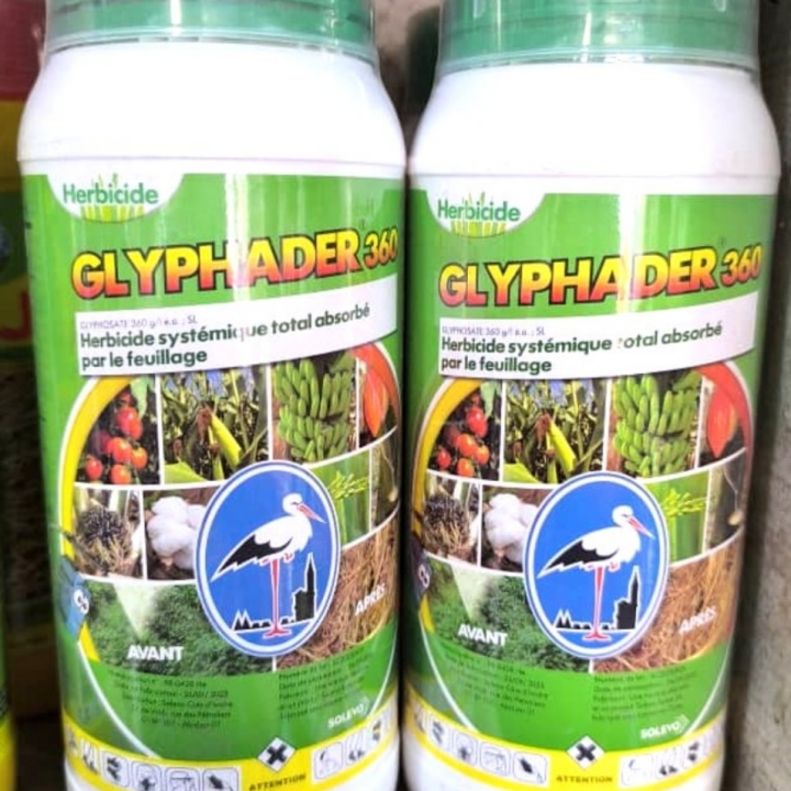 Glyphader