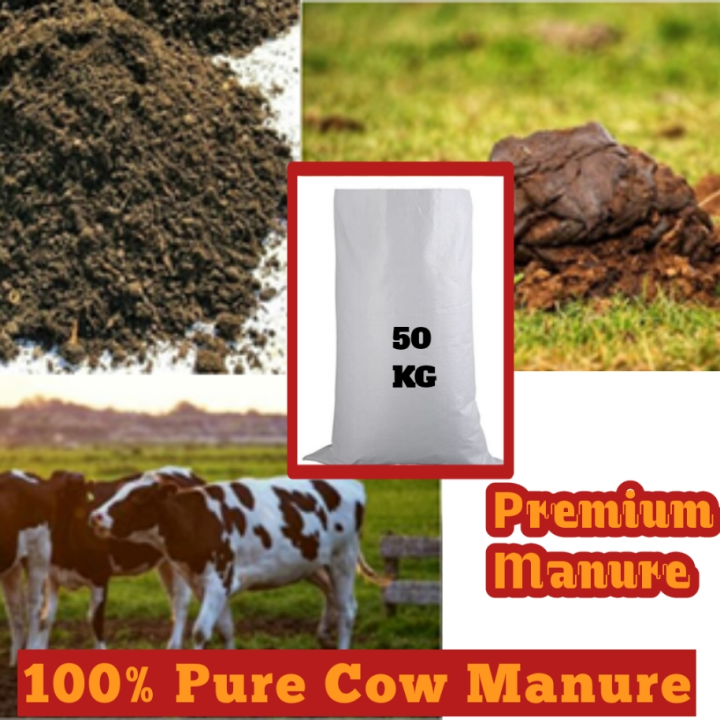 Organic Cow Manure
