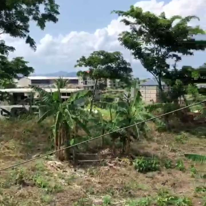 LAND