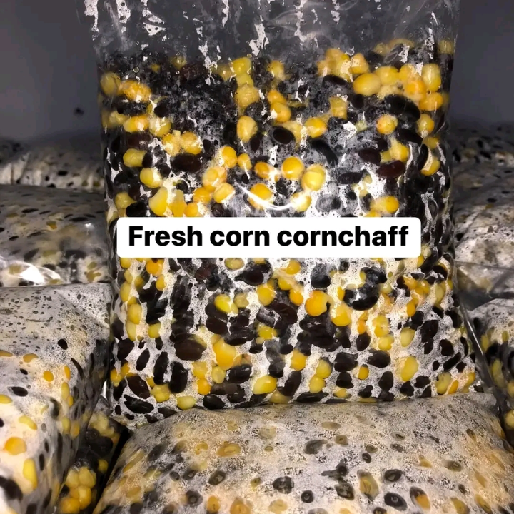 Fresh corn chaff
