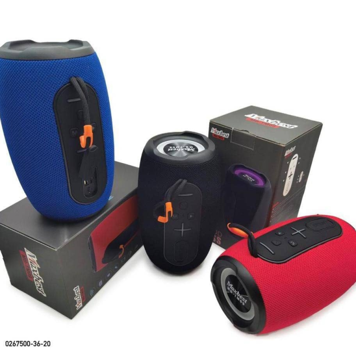 potable Bluetooth hoofer