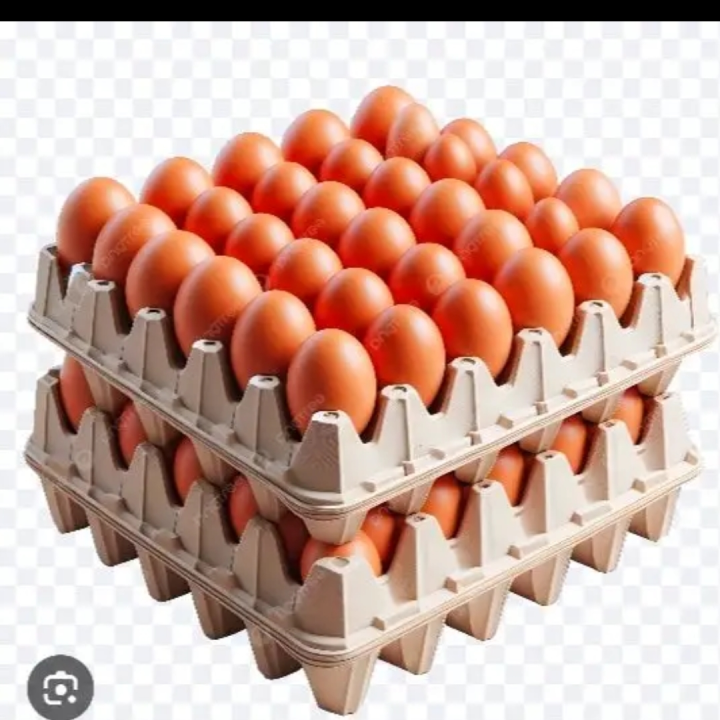 eggs