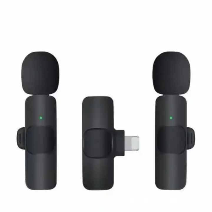 Dual mic lavalier phone microphone