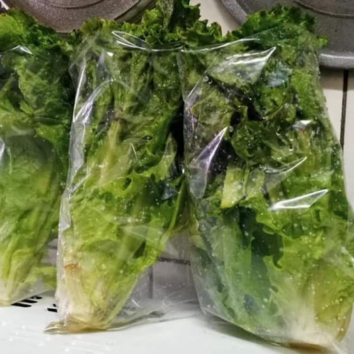 salade