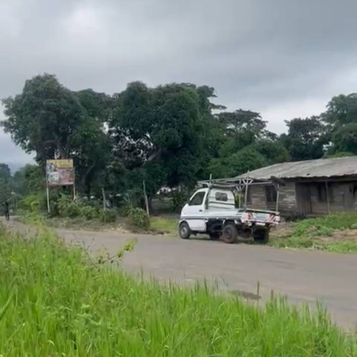 LAND