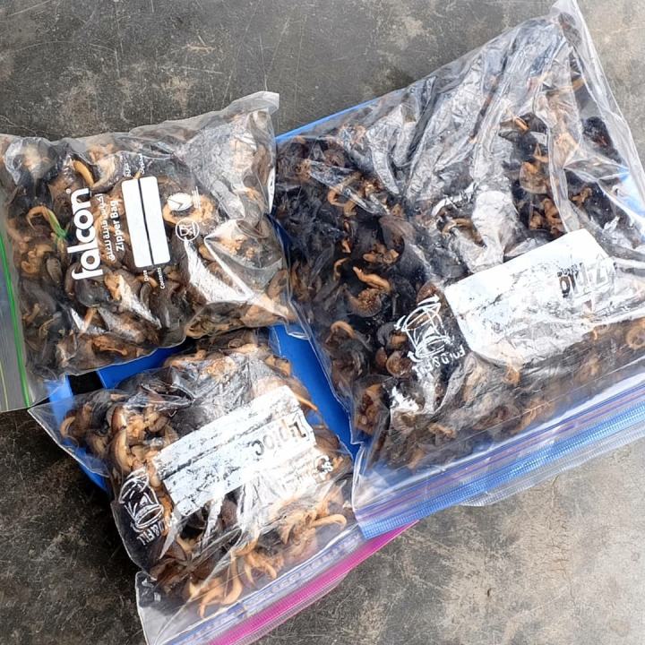 dry snails