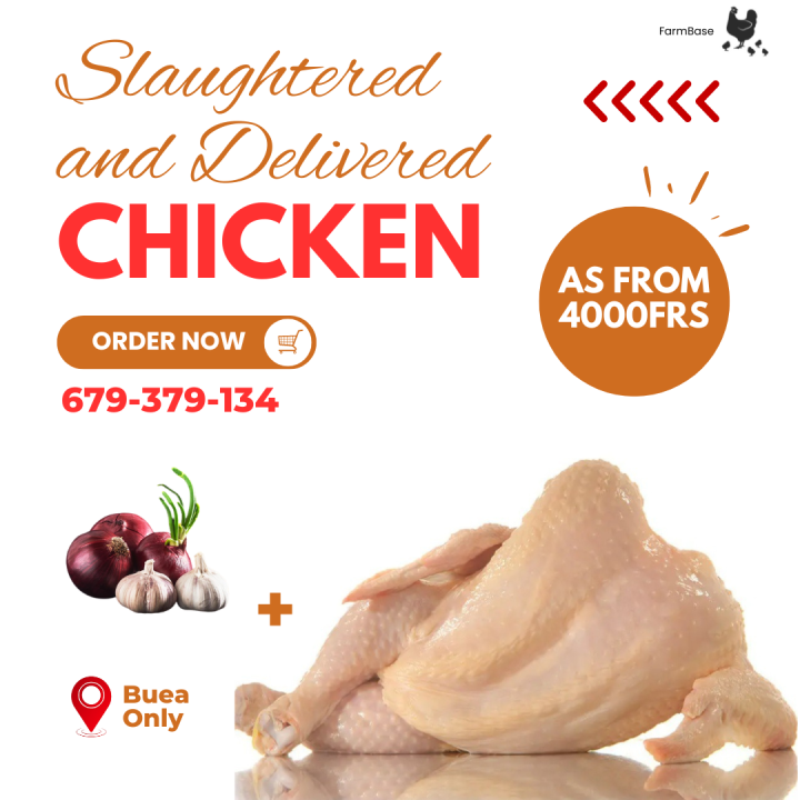 Fresh Chicken