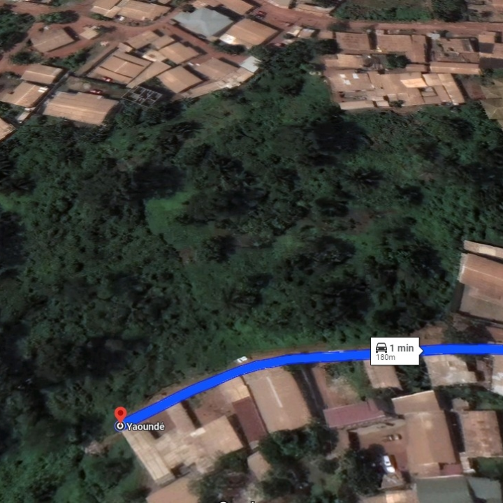 Terrain à vendre de 9000m2 Ekié au lieu dit Carrefour Ahmadou