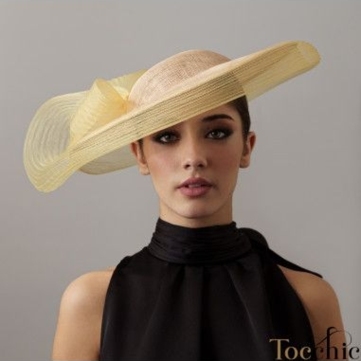 Brown Crinoline hat