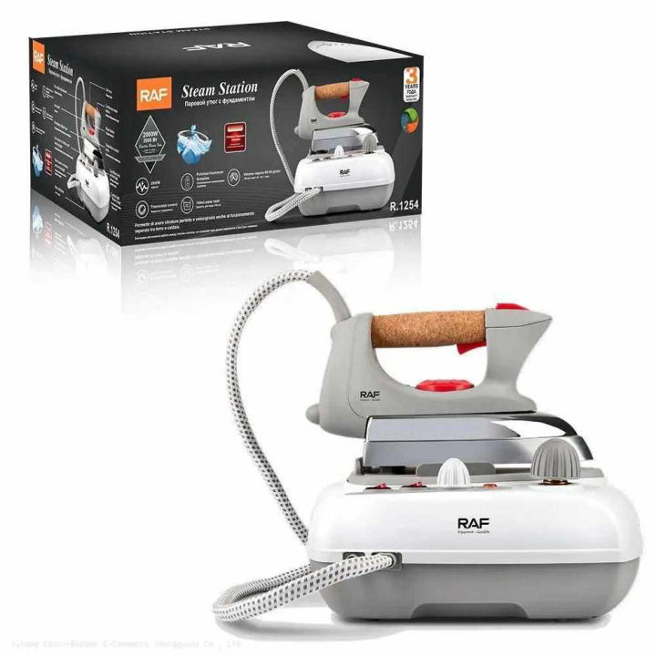 Electric iron
