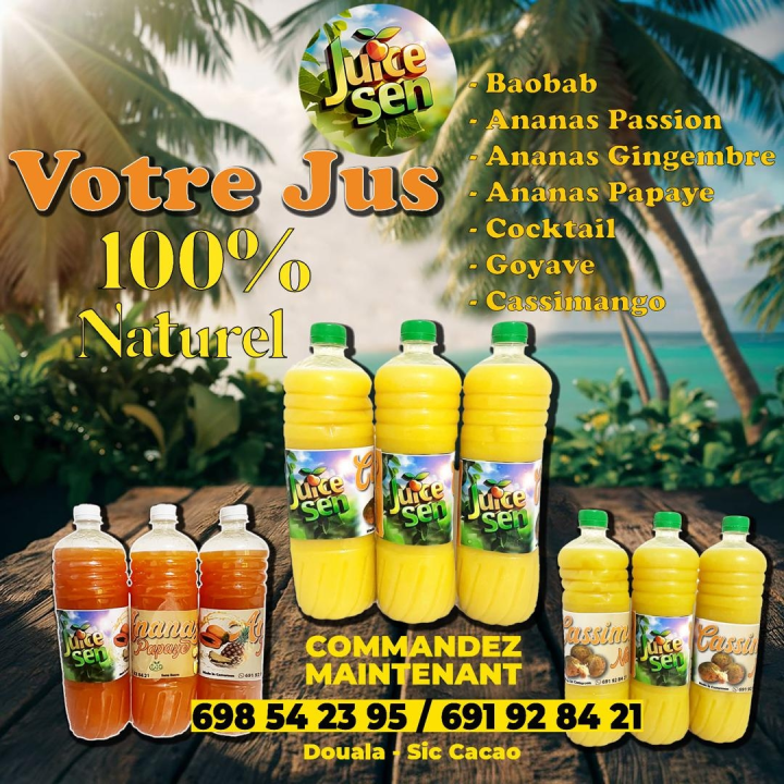 jus mangue passion ananas gingembre 0,5l