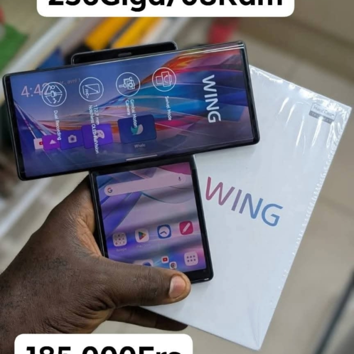 LG WING