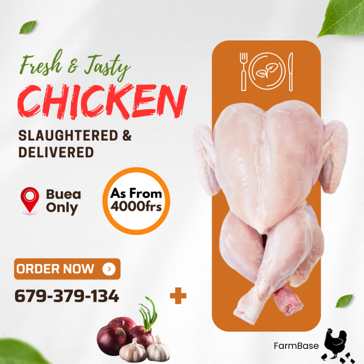 Fresh Chicken