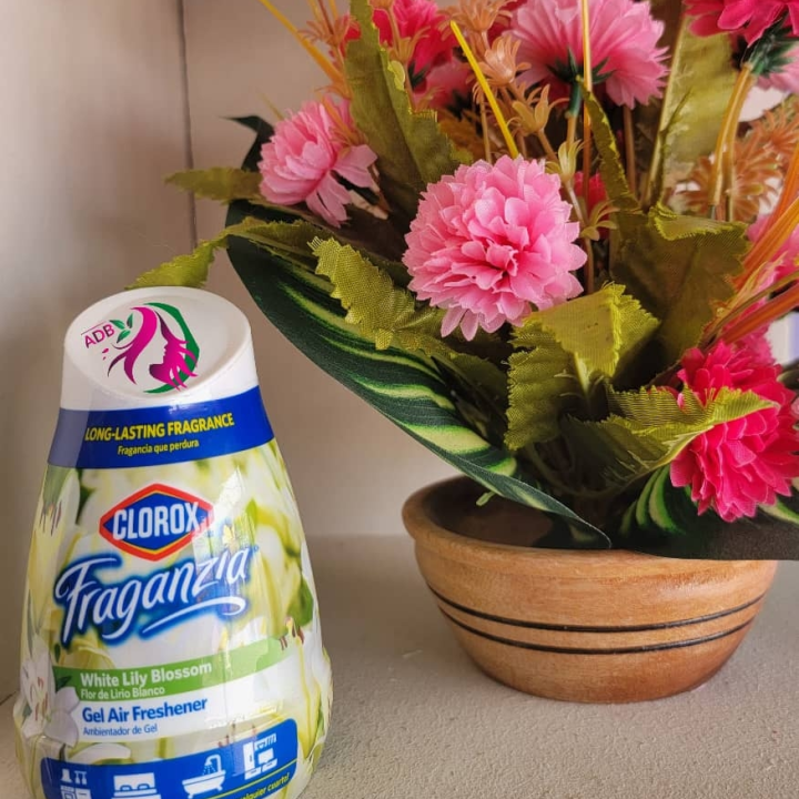 airfresher