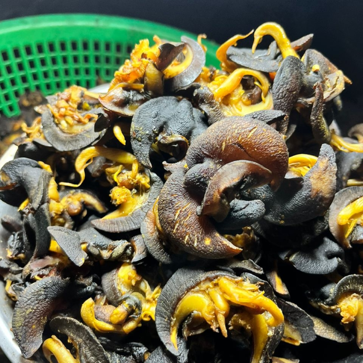 A  Packet of 1kg  Big Size Snails