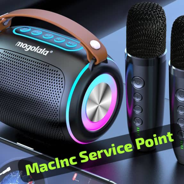 Dual mic karaoke