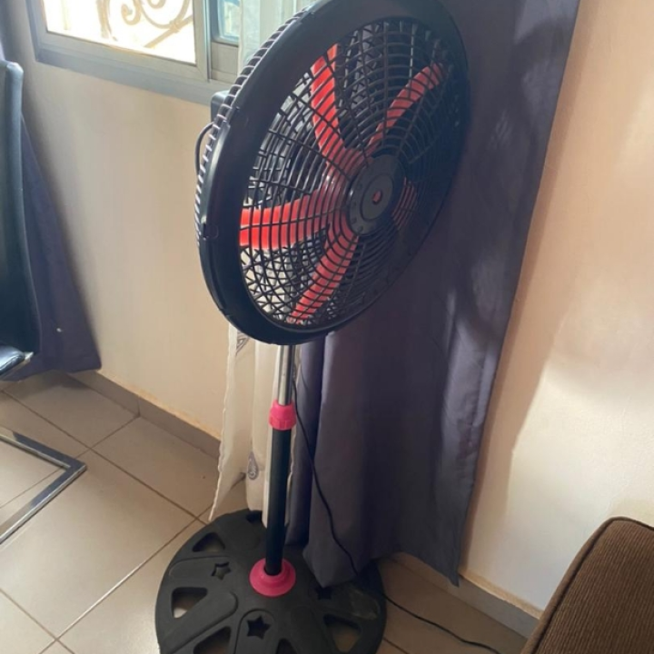 fan