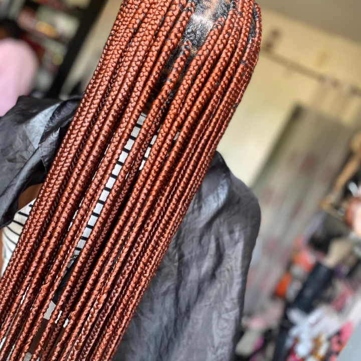 rasta américaine