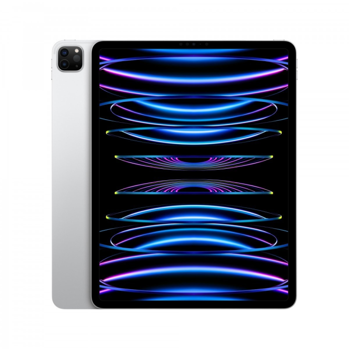 iPad pro 1 12.9 pouces