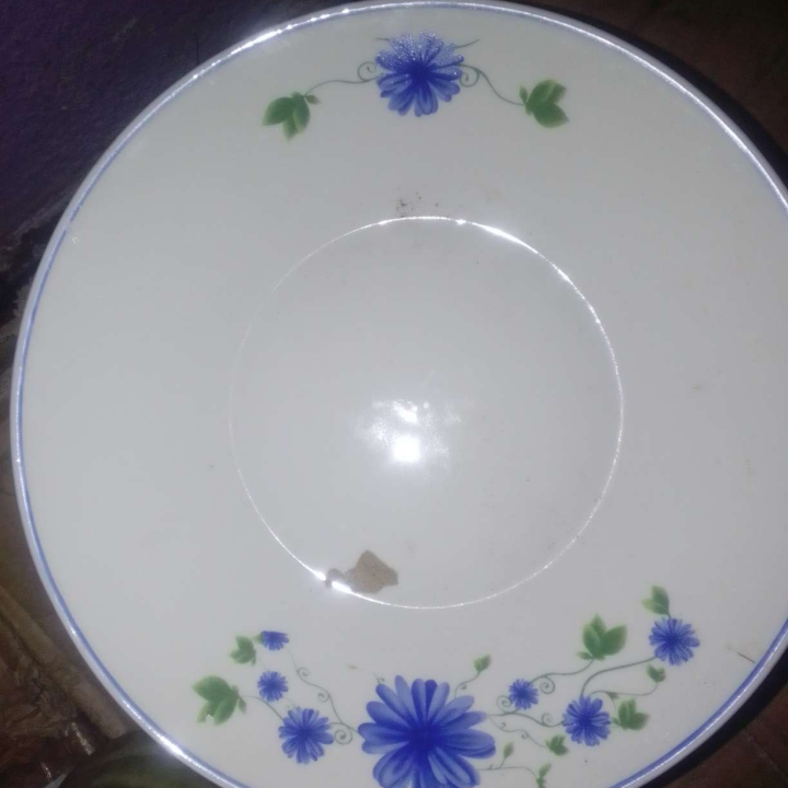 Breakable Plate