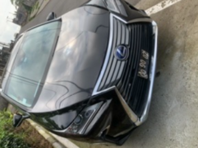 Lexus RX350 ( 2017 model )