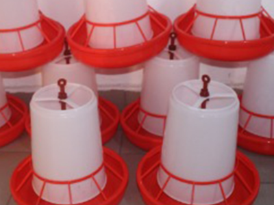 Automatic Chicken Feeders