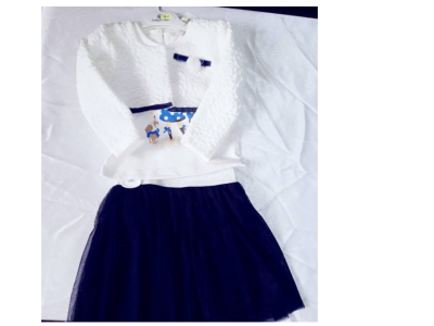Tutu skirt and blouse for kids