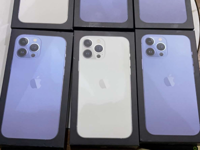 iPhone 13 pro max