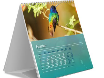 500 offsets expressions of calendars,
