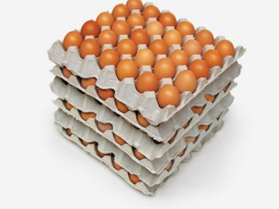 Tray Of Eggs