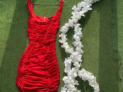 Fitting  gown